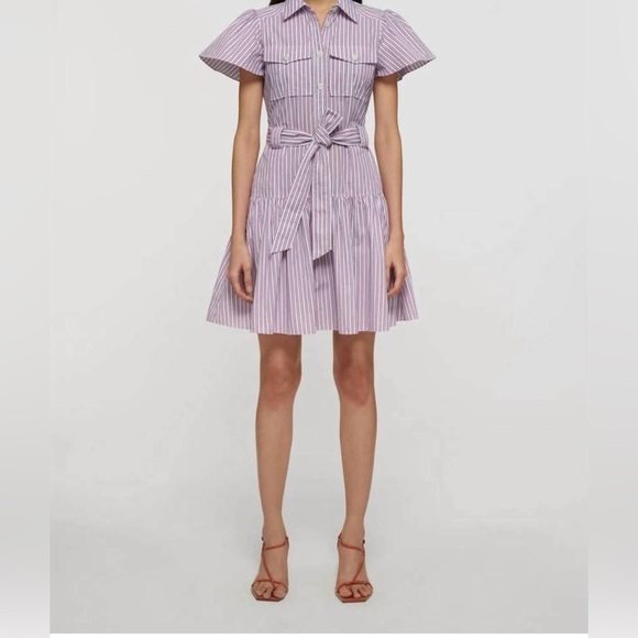 DEREK LAM 10 CROSBY Dresses & Skirts - DEREK LAM 10 CROSBY Pei Striped Cotton Mini Shirtdress Color: RED MULTI 2